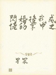 闪婚后我成了大佬的掌中之物大结局