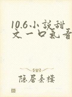 10.6小说甜文一口气看完