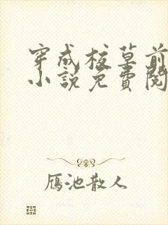 穿成校草前男友小说免费阅读