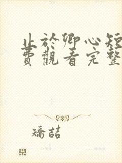 止于卿心短剧免费观看完整版