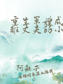 重生军嫂成全远离丈夫的小说