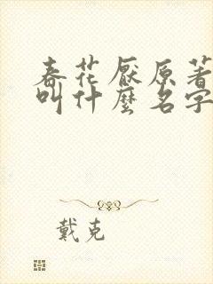 春花厌原著小说叫什么名字