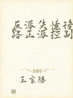 反派失忆后被各路正派控制的小说