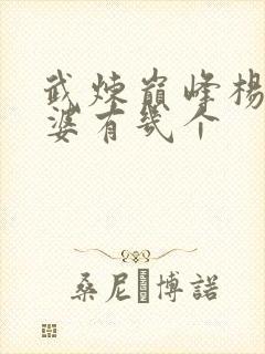 武炼巅峰杨开老婆有几个