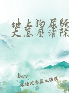 地上狗尿骚味很大怎么清除