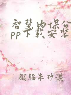 智慧内保公安app下载安装最新版