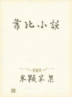 靠比小说