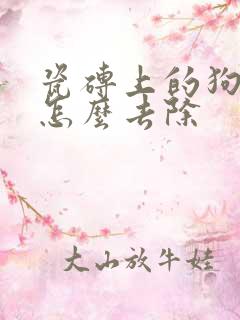 瓷砖上的狗尿渍怎么去除