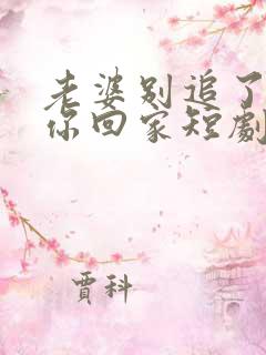 老婆别追了我跟你回家短剧演员表