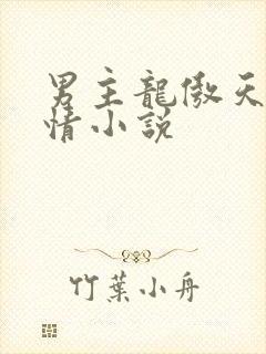 男主龙傲天的言情小说