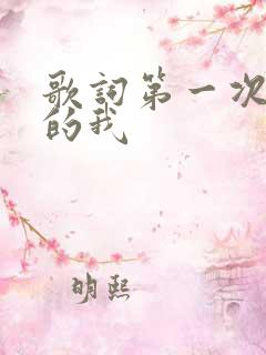 歌词第一次见你的我