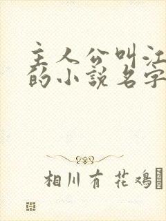主人公叫江小水的小说名字