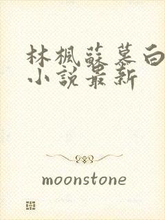 林枫苏慕白穿越小说最新