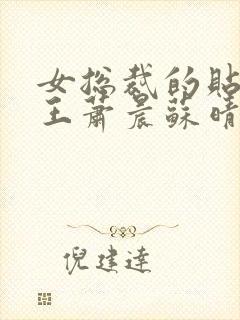 女总裁的贴身兵王萧晨苏晴