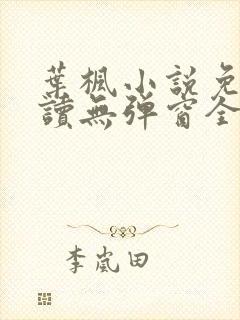 叶枫小说免费阅读无弹窗全文