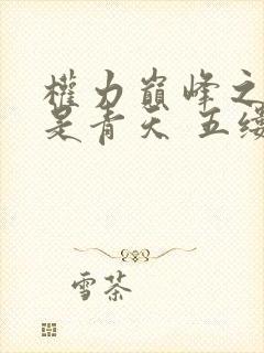 权力巅峰之我不是青天 五缕烟火