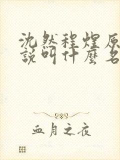 沈然程煜原著小说叫什么名字