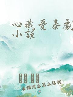 心藏爱泰剧原著小说