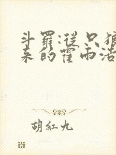 斗罗:从只狼归来的霍雨浩