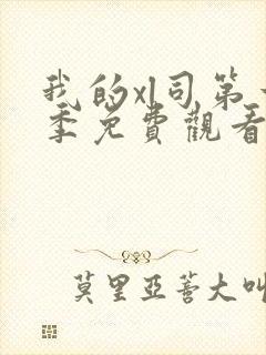 我的xl司第一季免费观看动漫版