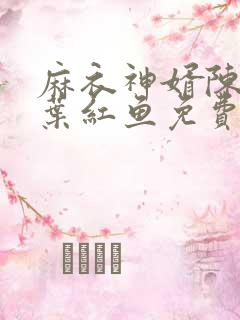 麻衣神婿陈黄皮叶红鱼免费听