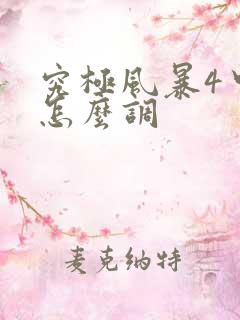 究极风暴4中文怎么调