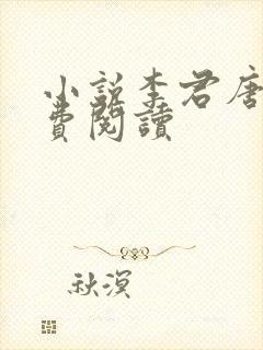 小说李君唐竹免费阅读