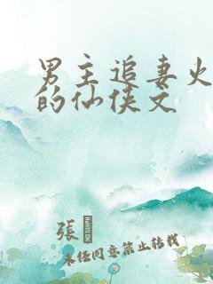 男主追妻火葬场的仙侠文