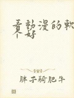 看动漫的软件哪个好