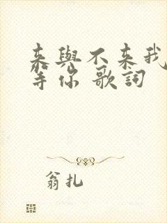 来与不来我都在等你 歌词