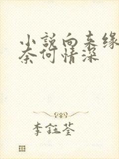 小说向来缘浅,奈何情深