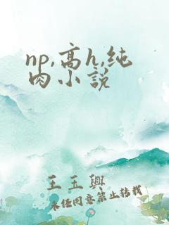np,高h,纯肉小说