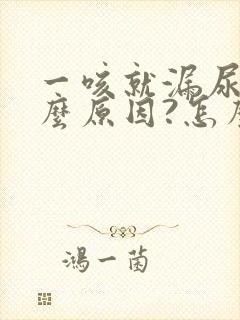 一咳就漏尿是什么原因?怎么治