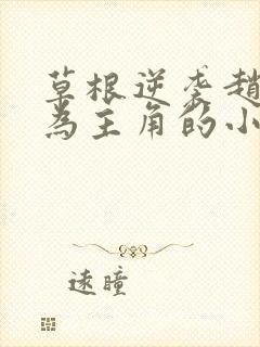 草根逆袭赵二驴为主角的小说