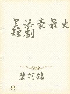 吴添豪最火十部短剧