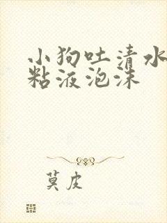 小狗吐清水带着粘液泡沫