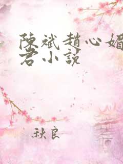 陈斌赵心媚高婉君小说