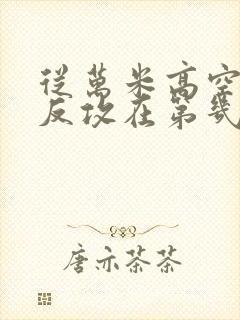 从万米高空降临反攻在第几章