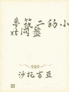 梦筱二的小说txt网盘