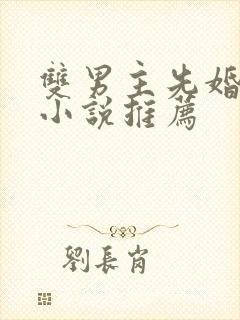 双男主先婚后爱小说推荐