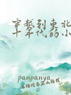 穿越到东北的六十年代的小说