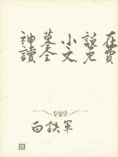 神墓小说在线阅读全文免费