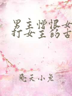 男主憎恨女主虐打女主的古言
