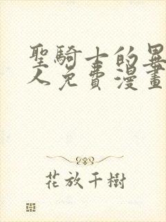 圣骑士的异世恋人免费漫画