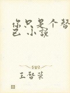 你只是个替身而已 小说