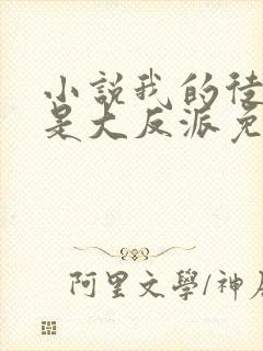 小说我的徒弟都是大反派免费完本