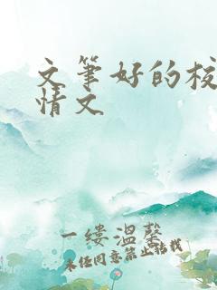 文笔好的校园言情文