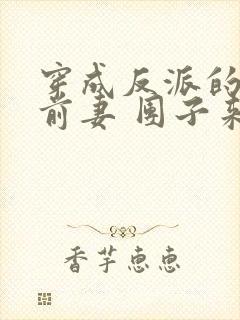 穿成反派的炮灰前妻 团子来袭