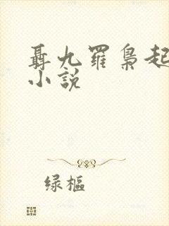 聂九罗枭起青壤小说