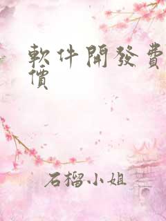 软件开发费用报价